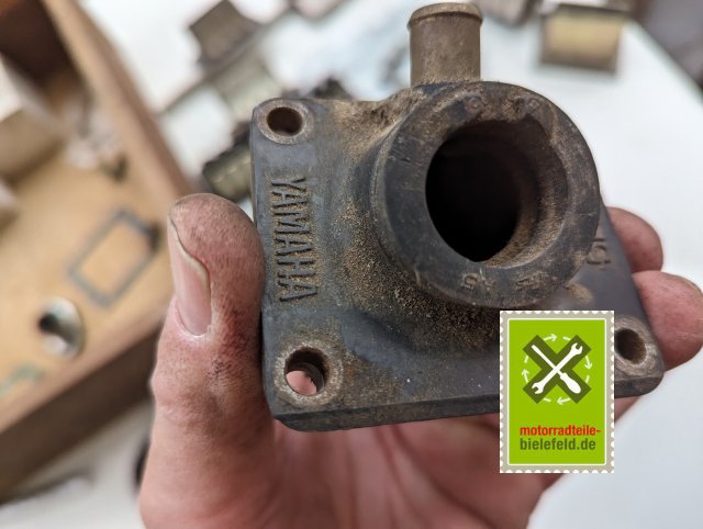 PXL_20240518_155313546